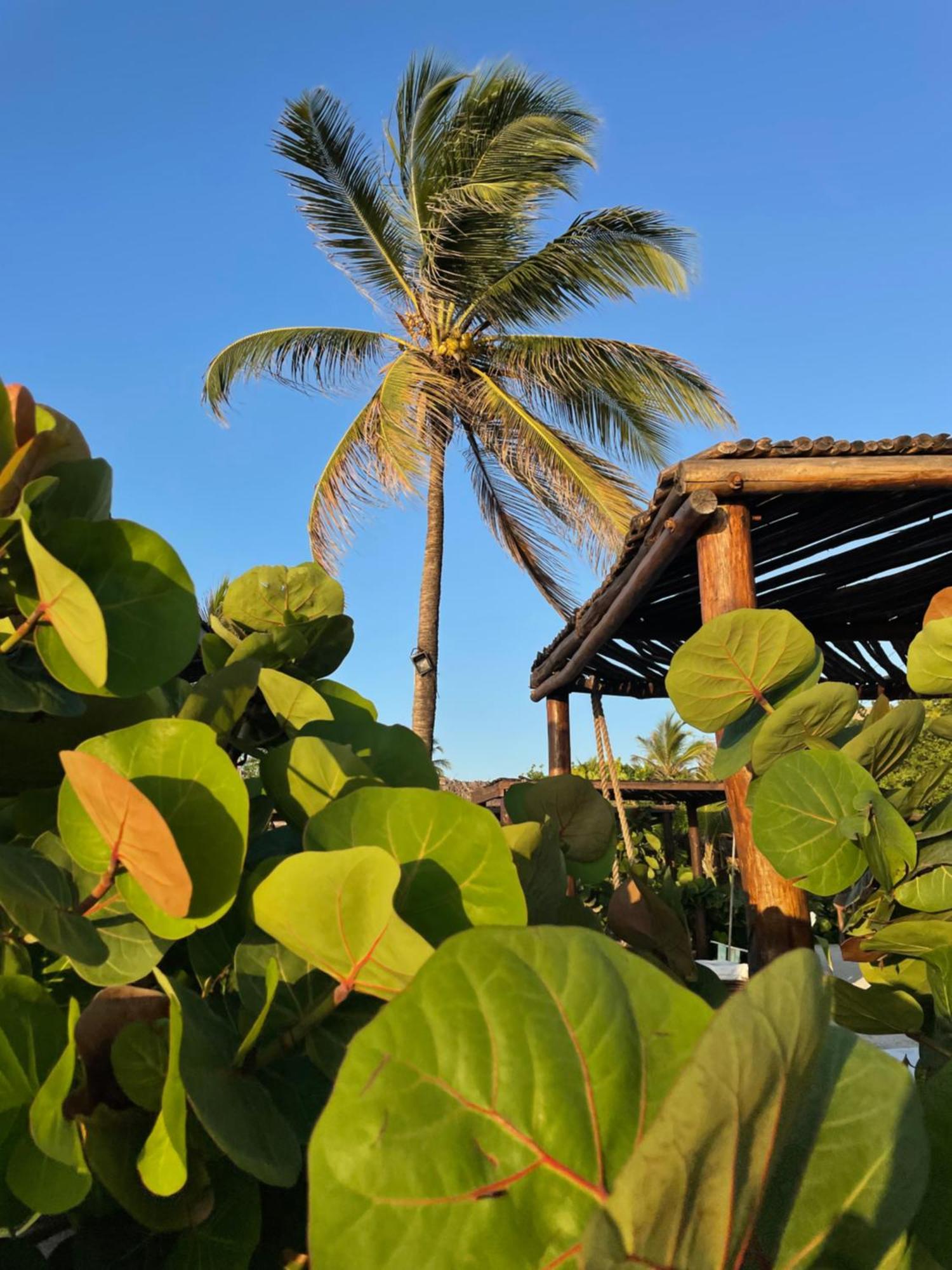 Namaste Beach Club & Hotel Playa de Punta Arena Exterior photo